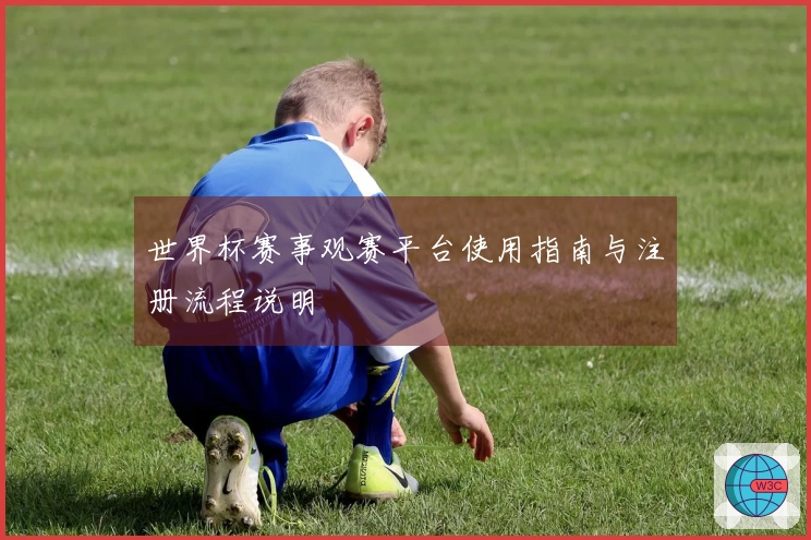 世界杯赛事观赛平台使用指南与注册流程说明
