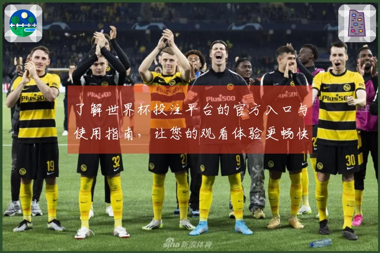 了解世界杯投注平台的官方入口与使用指南，让您的观看体验更畅快