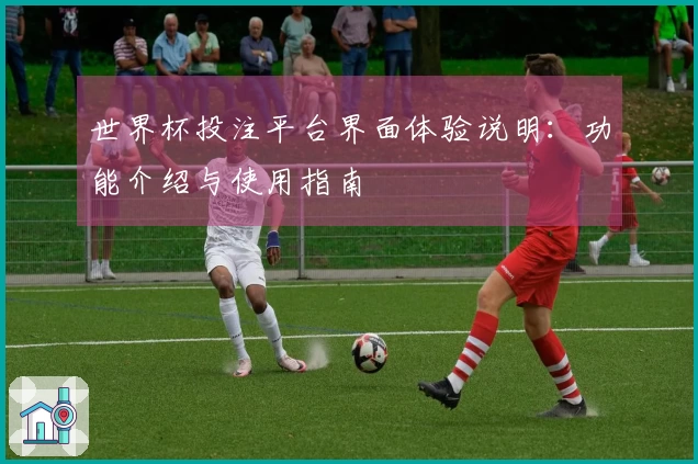 世界杯投注平台界面体验说明：功能介绍与使用指南