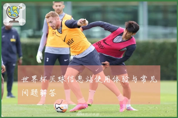 世界杯买球信息站使用体验与常见问题解答