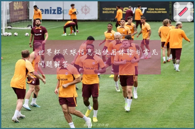 世界杯买球信息站使用体验与常见问题解答