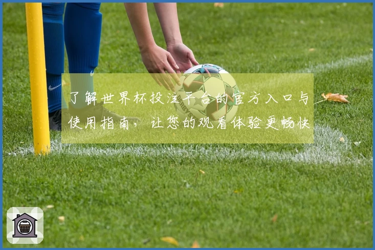了解世界杯投注平台的官方入口与使用指南，让您的观看体验更畅快
