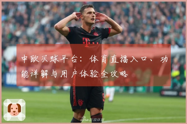 中欧买球平台：体育直播入口、功能详解与用户体验全攻略