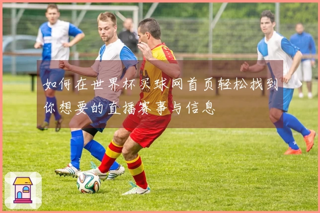 如何在世界杯买球网首页轻松找到你想要的直播赛事与信息